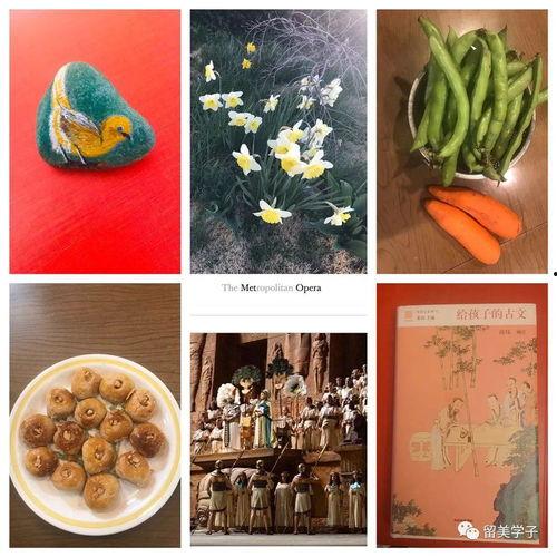 沧州疫情吃瓜,吃瓜群众视角下的防疫战记