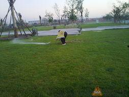 容城公园吃瓜,畅享清凉时光