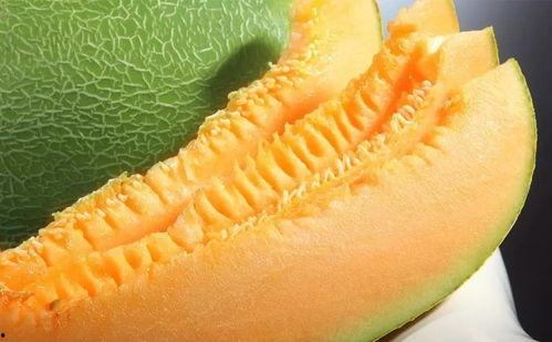 吃蜜瓜的图片,夏日清凉美食瞬间