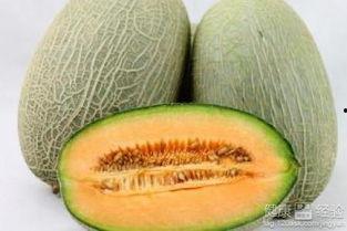 南北吃哈密瓜
