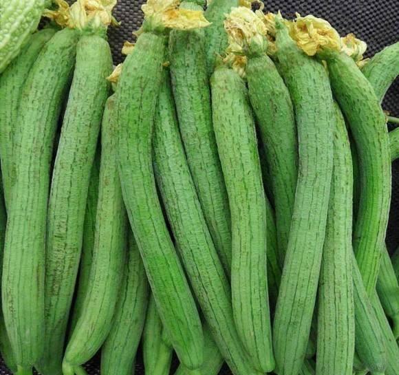 吃瓜系统头像,趣味头像背后的故事