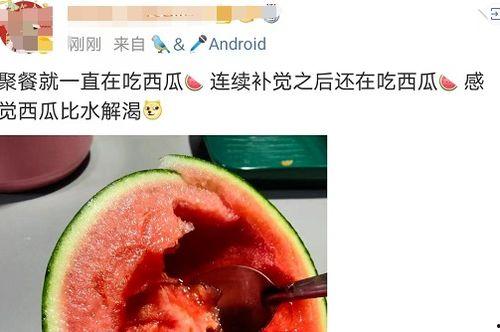 吃瓜53,一场网络热议背后的真相与反思