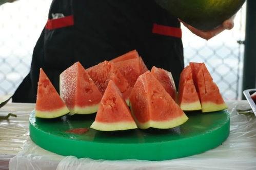 家人们吃瓜配乐