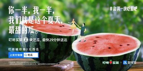 吃瓜各种文案短句,跟随文案短句，探秘娱乐圈风云变幻