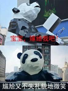 成都熊猫吃瓜直播,吃瓜瞬间，萌态万千