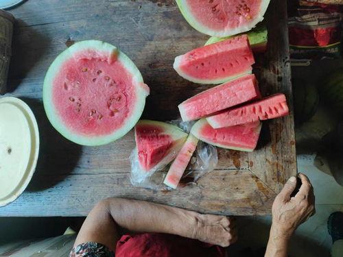 吃瓜想工厂,探寻瓜果产业的秘密加工之旅
