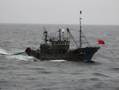 军演福建渔船吃瓜,海上“吃瓜”成独特风景