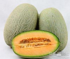 喂奶期可以吃哈密瓜吗,“哺乳期妈妈适宜食用哈密瓜的益处与注意事项”