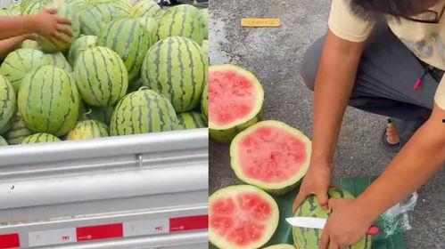 卖瓜老板吃瓜老板,一场别开生面的瓜界传奇