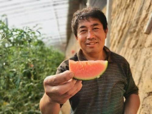 郑总吃瓜,揭秘娱乐圈幕后风云