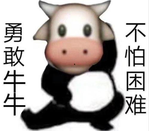 牛吃瓜表情包,趣味横生的网络文化现象
