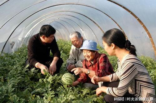 吃瓜源头.中国com,中国com带你探秘网络热点背后的真相
