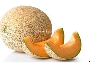 胖木鱼吃哈密瓜