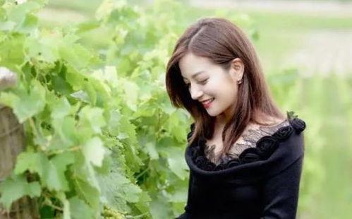 带你吃瓜赵薇,揭秘娱乐圈那些事儿