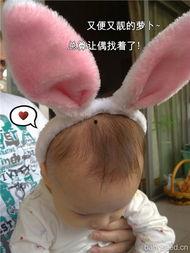 兔子牙吃白瓜,探寻白瓜的秘密