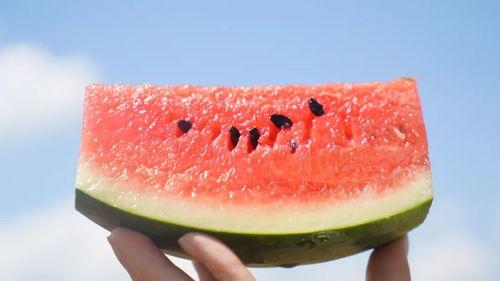 四十天有瓜吃,夏日田园生活全景画卷