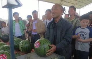 容城县吃瓜群众,街头巷尾的民生百态