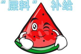 有趣的吃瓜现场,吃瓜群众狂欢，趣味横生的瓜界盛典