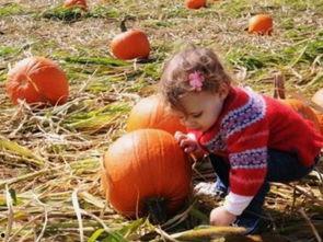 周公解梦梦见吃瓜摘瓜,瓜熟蒂落，吃瓜摘瓜的梦境寓意