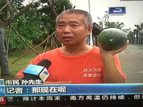 长清吃瓜群众事件,一场网络舆论的风暴与反思